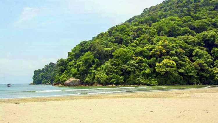 praia-de-pereque-guaruja-sp-min