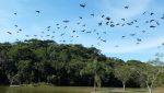 Vista Lago Aruã