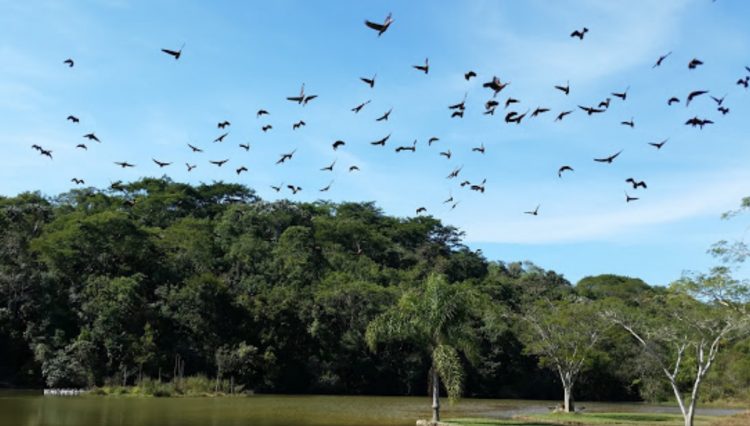 Vista Lago Aruã