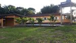 sitio-41.000m2-biritiba-mirim-casa-sede-4-dorm-piscina-churrasqueira-forno-lenha-proximo-represa-bairro-sertaozinho (170)