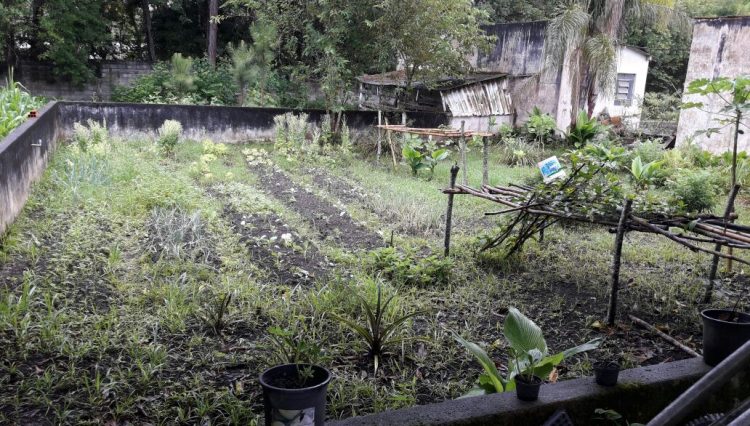 chácara-quatinga-mogi-das-cruzes-casa-sede-chalé-casinha-lago-pesca-salao-festas-jogos-quadra-gramado-igrejinha-piscina ( (29)