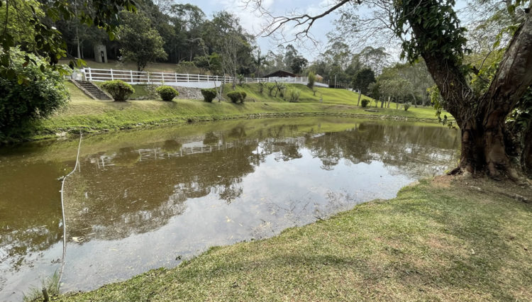 sitio-quatinga-24milm2-lagos-piscina-churrasqueira-horta-gramado-1km-asfalto (35)
