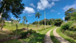 sitio-venda-biritiba-ussu-campo-futebol-lago-canil-piscina-casa-sede-churrasqueira-gramado-cercado (56)