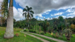 sitio-venda-biritiba-ussu-campo-futebol-lago-canil-piscina-casa-sede-churrasqueira-gramado-cercado (57)