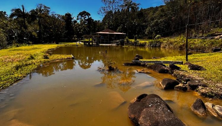 sitio-quatinga-venda-piscina-casa-sede-lago-casa-caseiro-78000.m2 (20)