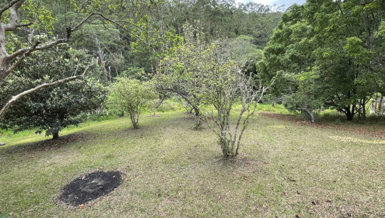 sitio-20mil-m2-venda-serra-itapeti-mogi-corrego-casa-sede (15)